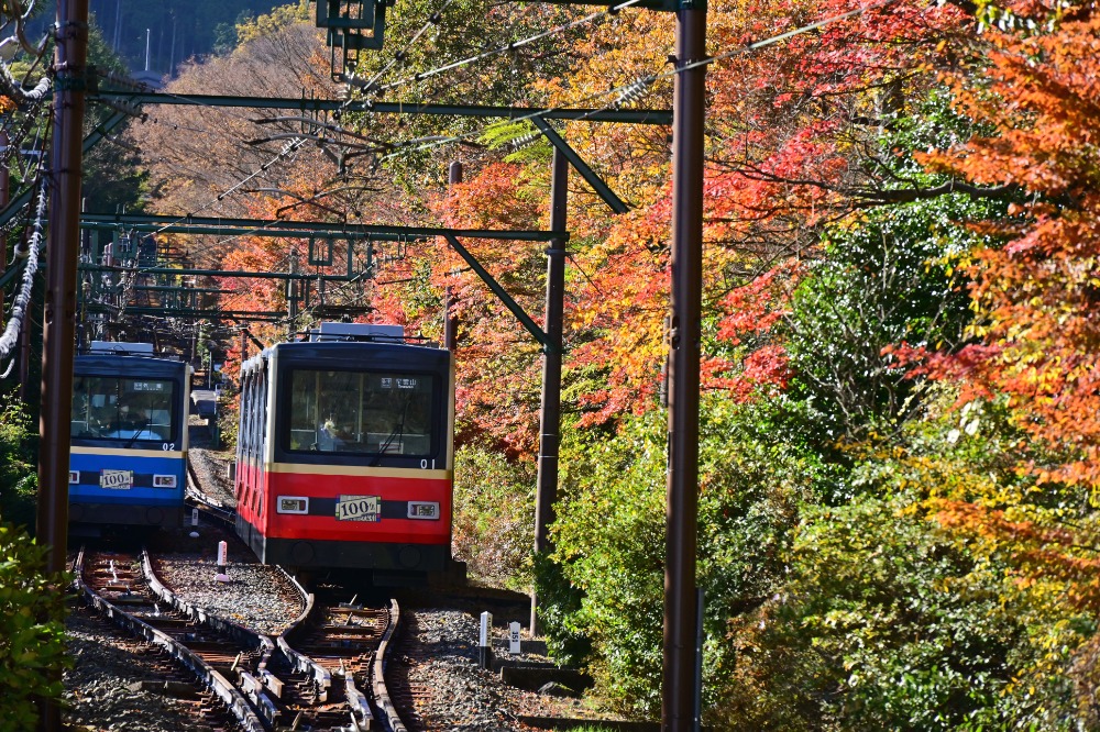 Echoes of Red: Japan Autumn Journey